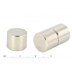 D12 x 10 / N38 - Neodymium magnet (NdFeB)