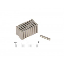 D2 x 10 / N38 - Neodymium rod magnets