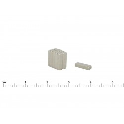10 x 3 x 2 / N38 - Neodimio magnetas (NdFeB)