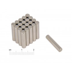 D4 x 20 / N38 - Magnet cu tijă