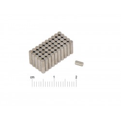 Пръчкови магнити D2 x 4 / N38