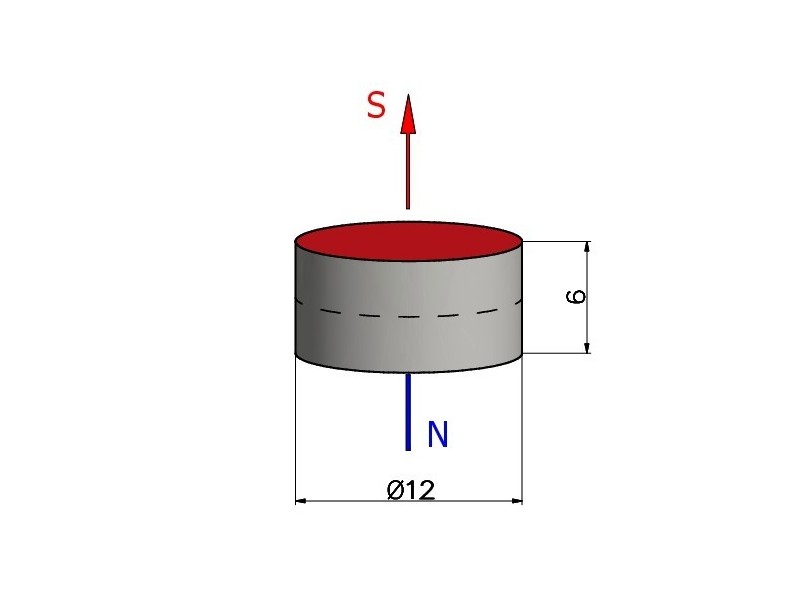 D12 x 6 / N38 - Neodymium magneet (NdFeB)