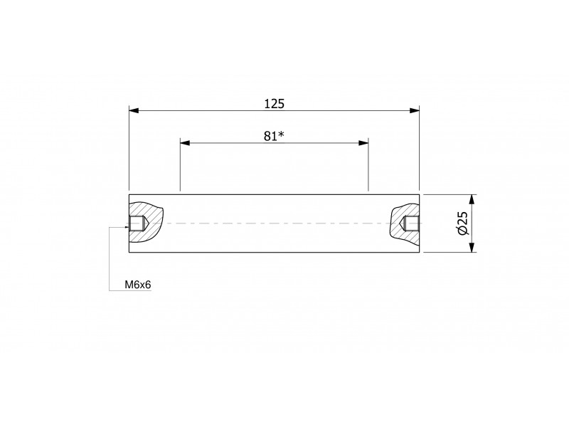 Magneettinen suodatintanko (vedenpitävä) 25 x 125 / 2 x M6in / N52