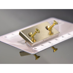 40 X 20 X 5 - D7,2/d3,6 / N38 - Neodüüm magnet (NdFeB)