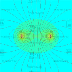 D20 x 2 / N38 - Neodimov magnet (NdFeB)