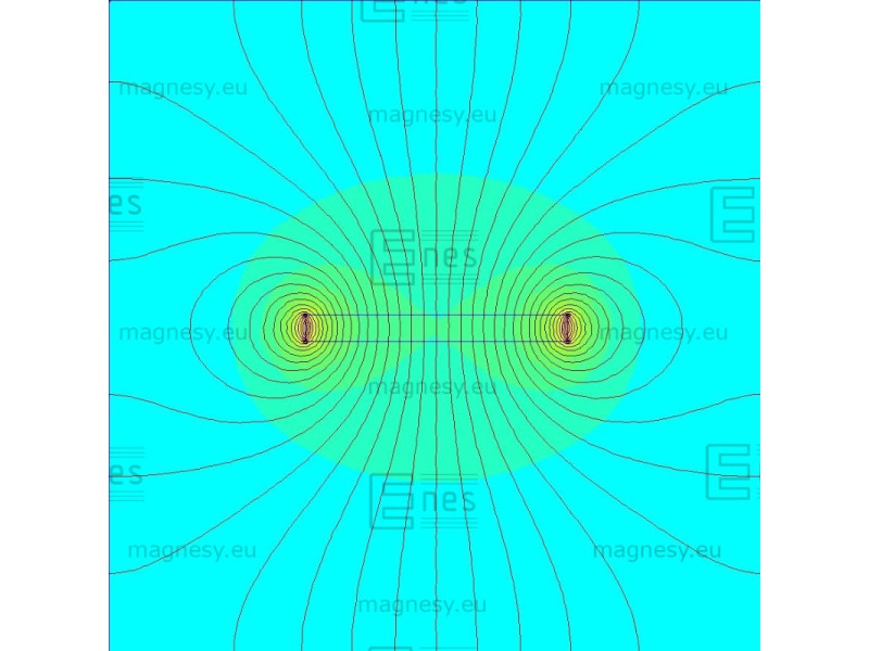 D20 x 2 / N38 - Neodymmagnet (NdFeB)