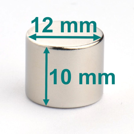 D12 x 10 / N38 - Neodymium magnet (NdFeB)