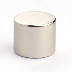 D12 x 10 / N38 - Neodimov magnet (NdFeB)