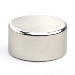 D20 x 10 / N38 - Neodimov magnet (NdFeB)