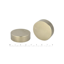 D38 x 12 / N38 - Neodimov magnet (NdFeB)