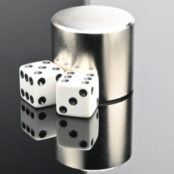 D33 x 30 / N42 - Neodimov magnet (NdFeB)