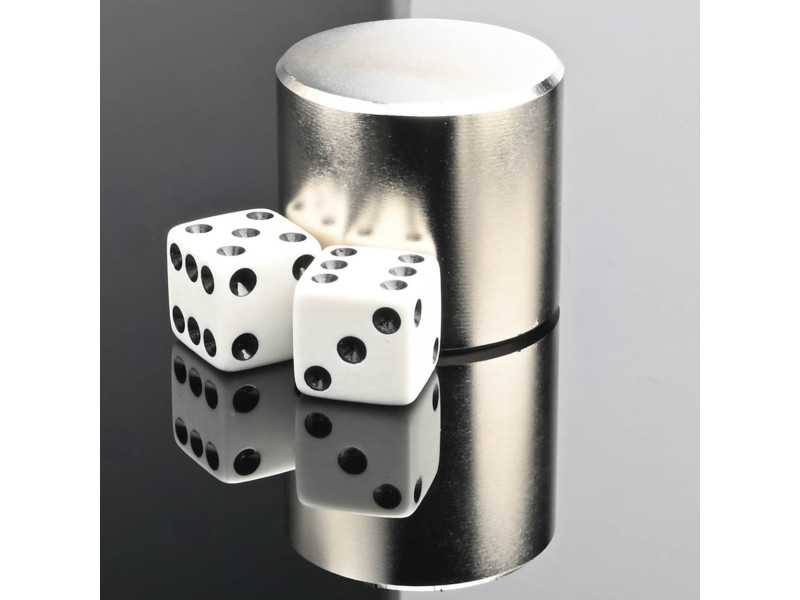 D33 x 30 / N42 - Neodimov magnet (NdFeB)