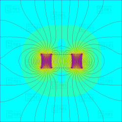 D24 x d12 x 8 / N38 - Neodymmagnet (NdFeB)