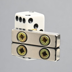 30 X 8 X 5 - D7/d3,5 / N38 - Neodimov magnet (NdFeB)