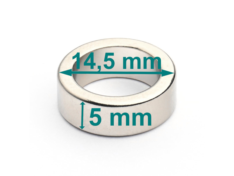 neodym ringmagnet