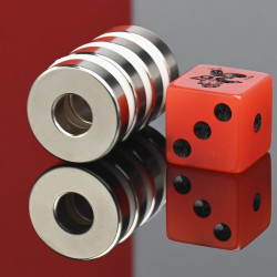 D20 x d8 x 5 / N38 - Neodimov magnet (NdFeB)