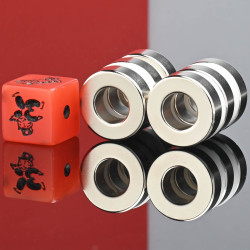 D20 x d10 x 6 / N38 - Neodímium mágnes (NdFeB)