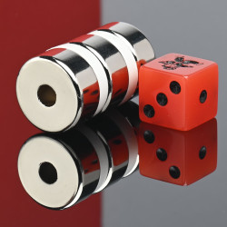 D22 x d6 x 10 / N38 - Neodímium mágnes (NdFeB)