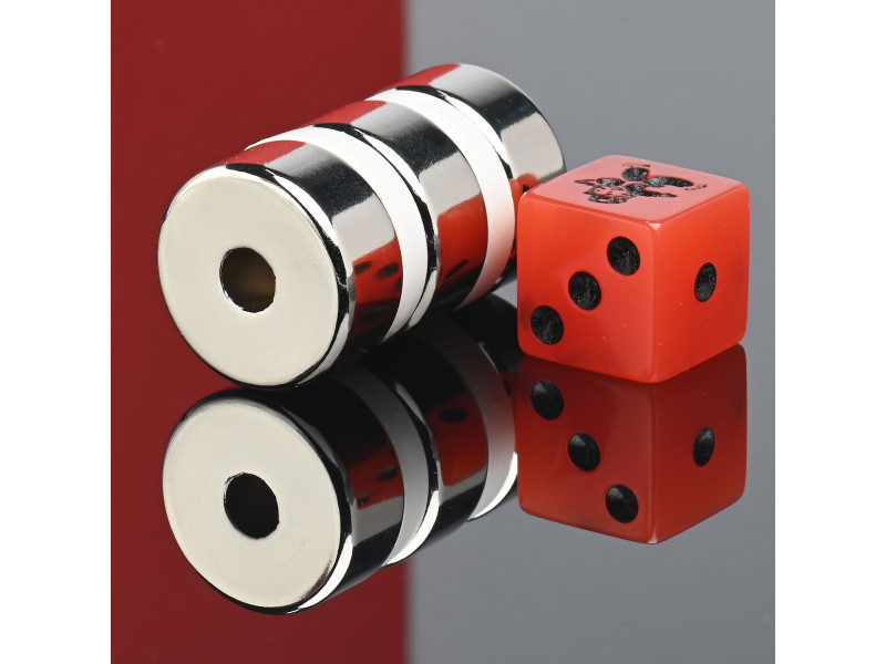D22 x d6 x 10 / N38 - Neodymmagnet (NdFeB)