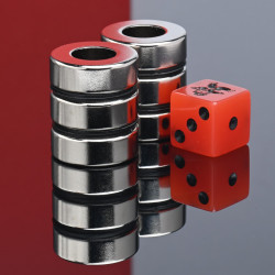 D24 x d12 x 8 / N38 - Neodimov magnet (NdFeB)