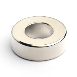 D24 x d12 x 8 / N38 - Neodimov magnet (NdFeB)