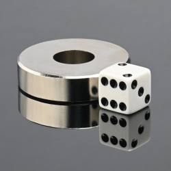 D41 x d15 x 10 / N38 - Neodimov magnet (NdFeB)