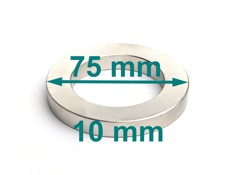 neodym ringmagnet