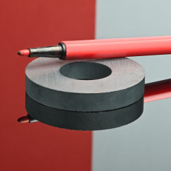 D50 x d22 x 8 / F30 - feritni magnet