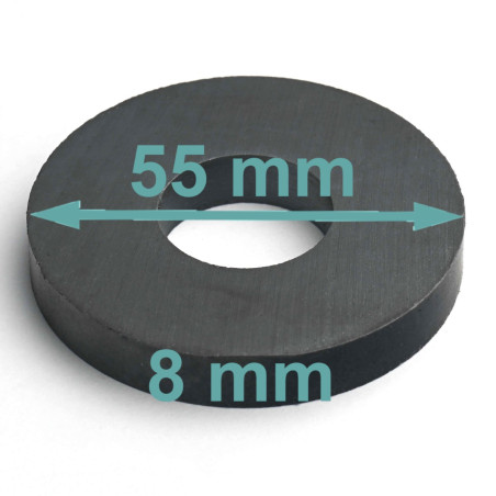 D55 x d22 x 8 / F30 - ferritmagnet