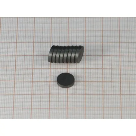 D10 X 2 / F30 - Ferrit Magnet