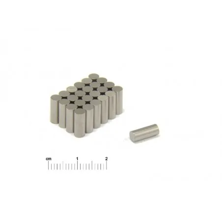 D4 x 10 / AlNiCo5 / LNG37 - AlNiCo magnet