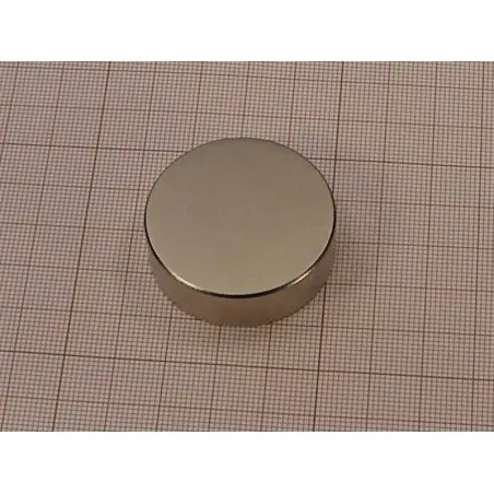 D38 x 12 / N38 - Neodymium magnet (NdFeB)