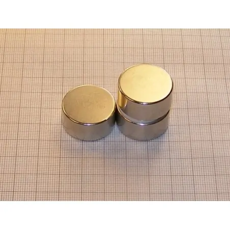 D25 x 12 / N38 - NdFeB (neodymium) magnet