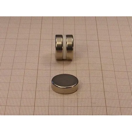 D20 x 6 / N38 - NdFeB (neodymium) magnet