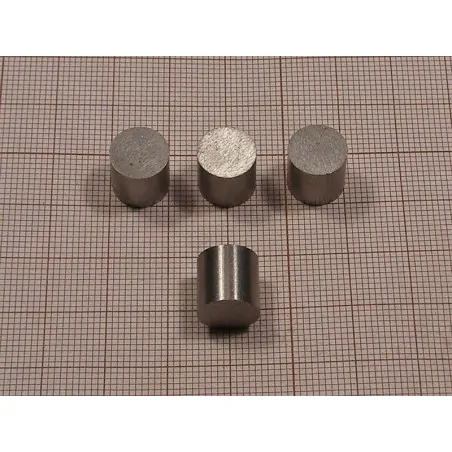 D10 x 10 / LNG37 - AlNiCo magnet