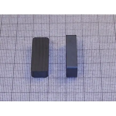 24,5 x 9,85 x 6 / F30 - ferrite magnet