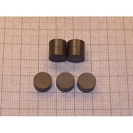 D10 x 5 / F30 - Ferrit Magnet