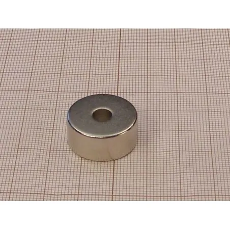 D22 x d6 x 10 / N38 - Neodymium magnet (NdFeB)